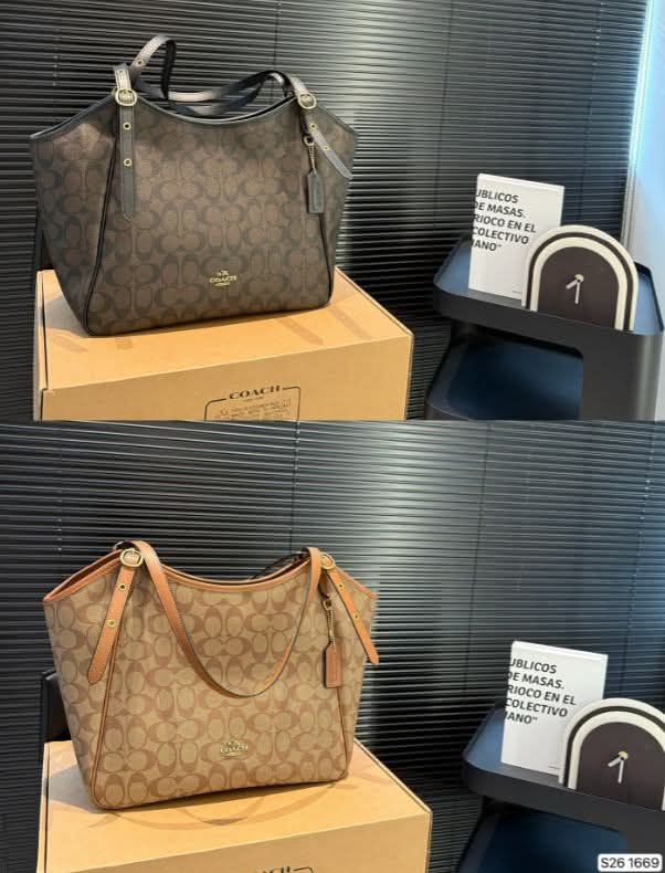 Co Belt Shoulder Bag